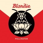 Blondie - Pollinator