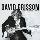 David Grissom - How It Feels To Fly