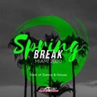 Spring Break Miami 2020 (Best Of Dance and House)