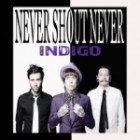 Never Shout Never - Indigo