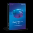 Magix Sound Forge Pro Suite v12.1.0.170