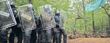 Kohle oder Wald - Kampf um den Hambacher Forst