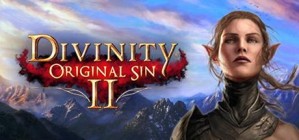 Divinity Original Sin 2