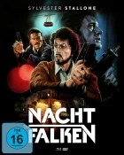 Nachtfalken