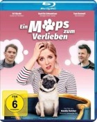 Ein Mops zum Verlieben