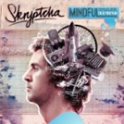 Skryptcha - Mindful