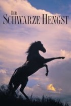 Der schwarze Hengst