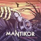 Mantikor - Momentaufnahme