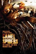 Camel Spiders - Angriff der Monsterspinnen