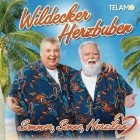 Die Wildecker Herzbuben - Sommer Sonne Herzilein