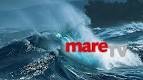 Mare-TV - Sommer in Neuseeland - Die Marlborough Sounds