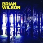 Brian Wilson - No Pier Pressure