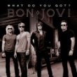 Bon Jovi - What Do You Got (German Maxi)