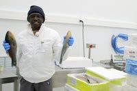 Bleibt wo ihr seid ! - Fischen gegen Fluchtursachen im Senegal