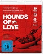 Hounds of Love