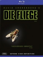 Die Fliege (MKV)