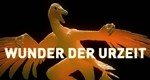 Auf den Spuren der Evolution - Wale - Vom Landtier zum Meeresräuber