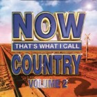 Now That's What I Call Country Volume 2