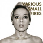 Paris Wells - Various Small Fires