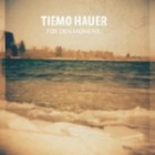 Tiemo Hauer - Für Den Moment 