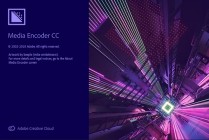 Adobe Media Encoder CC 2019 v13.1.5.35 (x64)