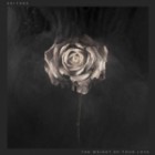 Editors - The Weight of Your Love