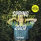 Spring Break 2020 (Best of Dance House and Electro)