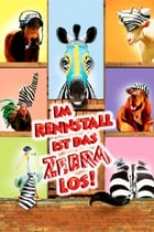 Im Rennstall ist das Zebra los