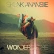 Skunk Anansie - Wonderlustre