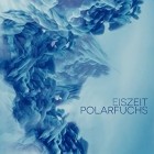 Polarfuchs - Eiszeit