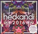 Hed Kandi 2016