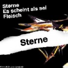 Der W - Sterne