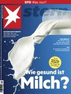 Der Stern 45/2019