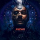 Amewu - Leidkultur