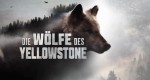 Die Wölfe des Yellowstone - Das Wolfsrudel