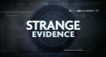 Strange Evidence - Das Riesenspinnennetz