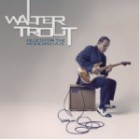 Walter Trout - Blues for the Modern Daze