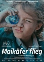 Maikaefer flieg