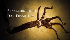 Sensationsfund - Das Fossil Ida