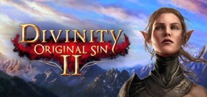 Divinity: Original Sin 2 - Definitive Edition