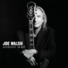 Joe Walsh - Analog Man