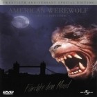 American Werewolf