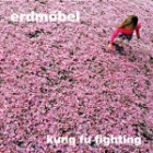 Erdmoebel - Kung Fu Fighting