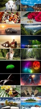 Must Have Best Wallpapers 405