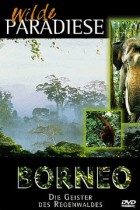 Wilde Paradiese - Borneo, Die Geister des Regenwaldes