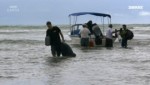 Deadly 60 Die gefaehrlichsten Tiere der Welt E27 Costa Rica Teil1 