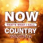 Now Thats What I Call Country Vol.12