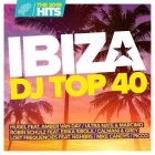 Ibiza DJ Top 40 - The Hits 2019