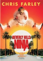 Beverly Hills Ninja