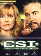 C.S.I. - Las Vegas - XviD - Staffel 9 (HD-Rip)